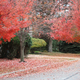 Image for article titled 48 Photos Of Autumn Around The World